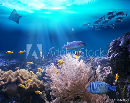 Image de Reef with marine animals 3D illustration